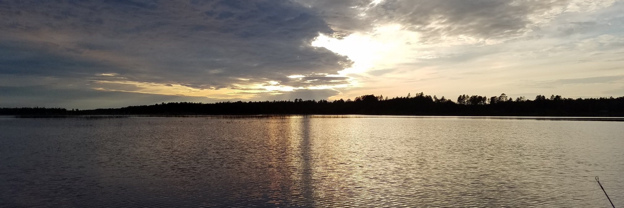 kellerjen1's profile banner image