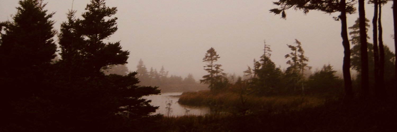 Sam Greenberg banner