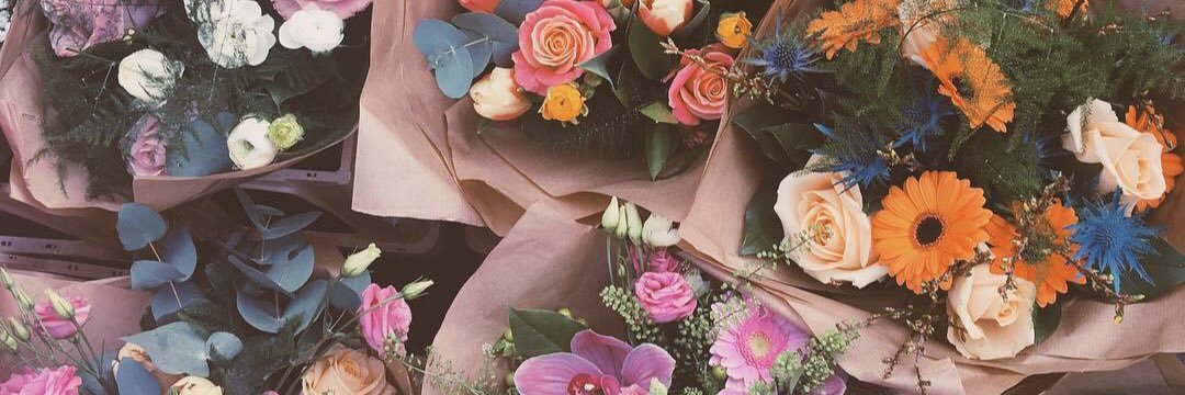 ✨ banner