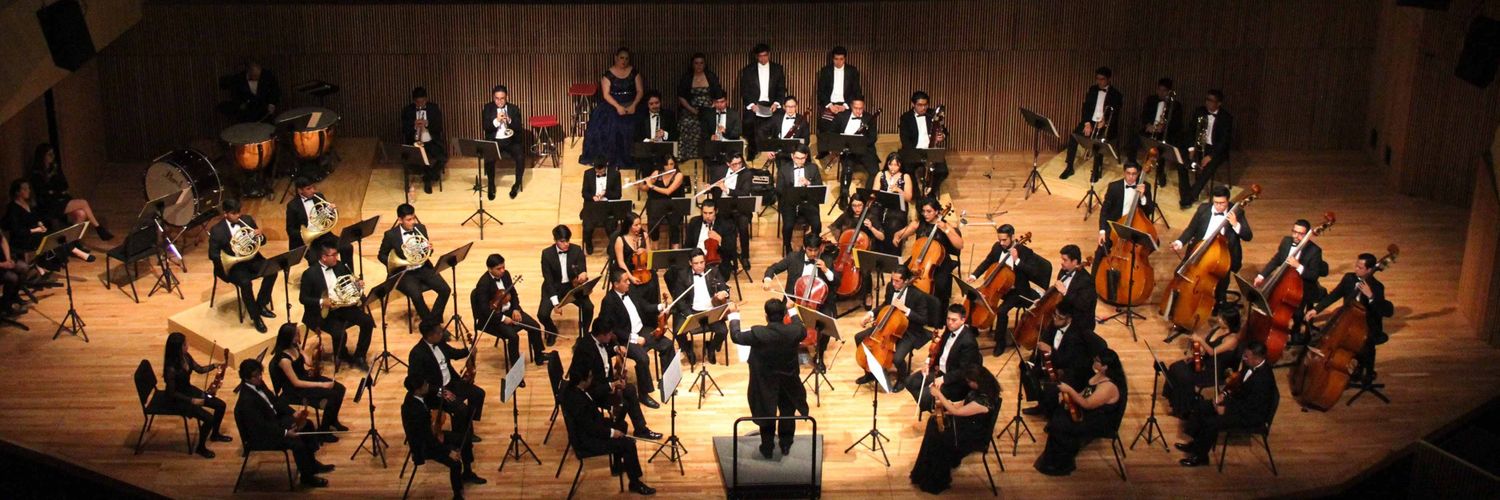 Camerata Opus 11™ banner