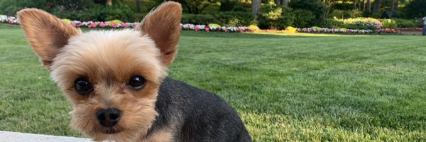 katcampbellwx Profile Banner
