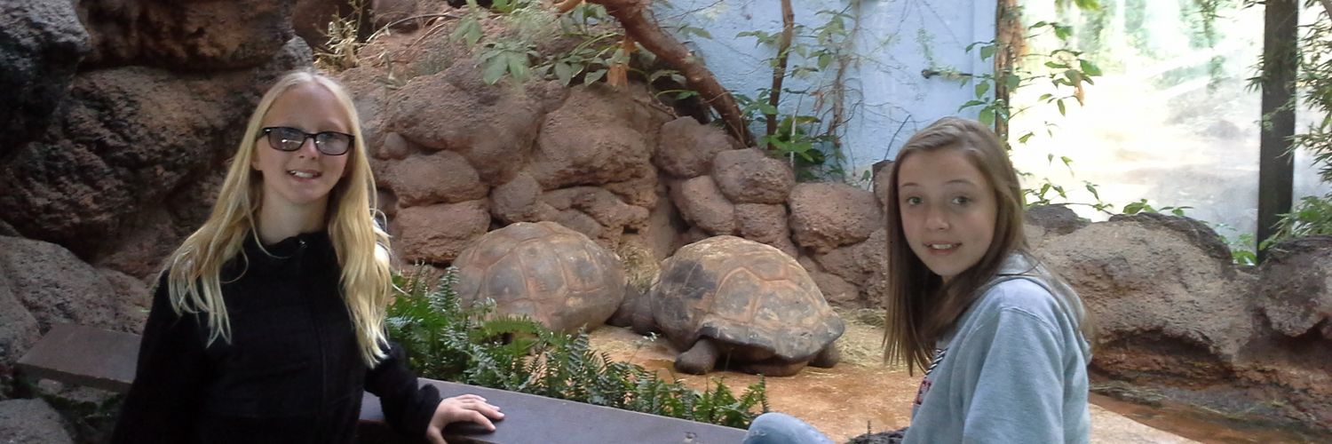 toadallycute02's profile banner image