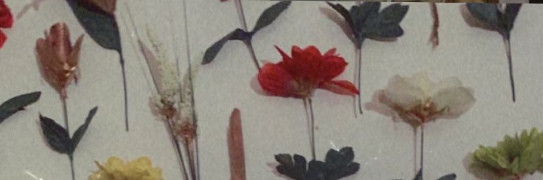 Patty_maug's profile banner image