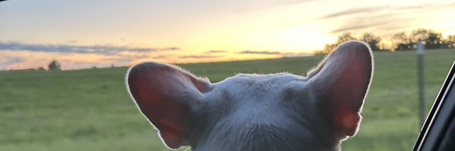 JasonfromMO's profile banner image