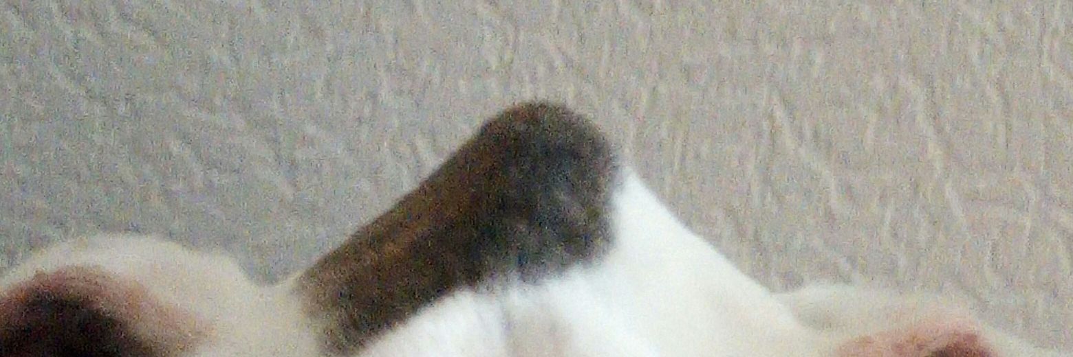phil33480's profile banner image