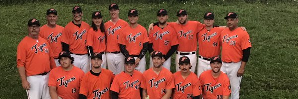 IrmaTigers Profile Banner