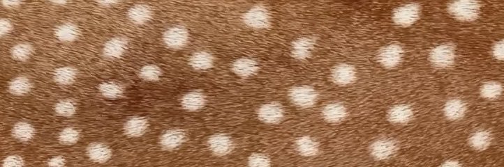 internettgf69's profile banner image