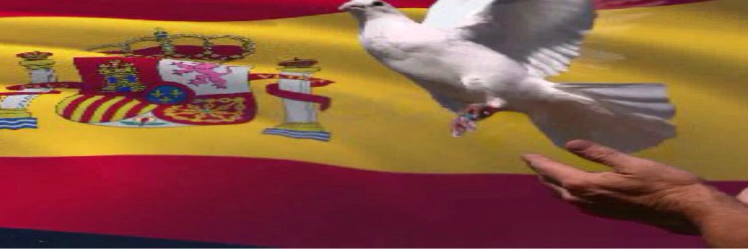 NuriaAlvarezP's profile banner image