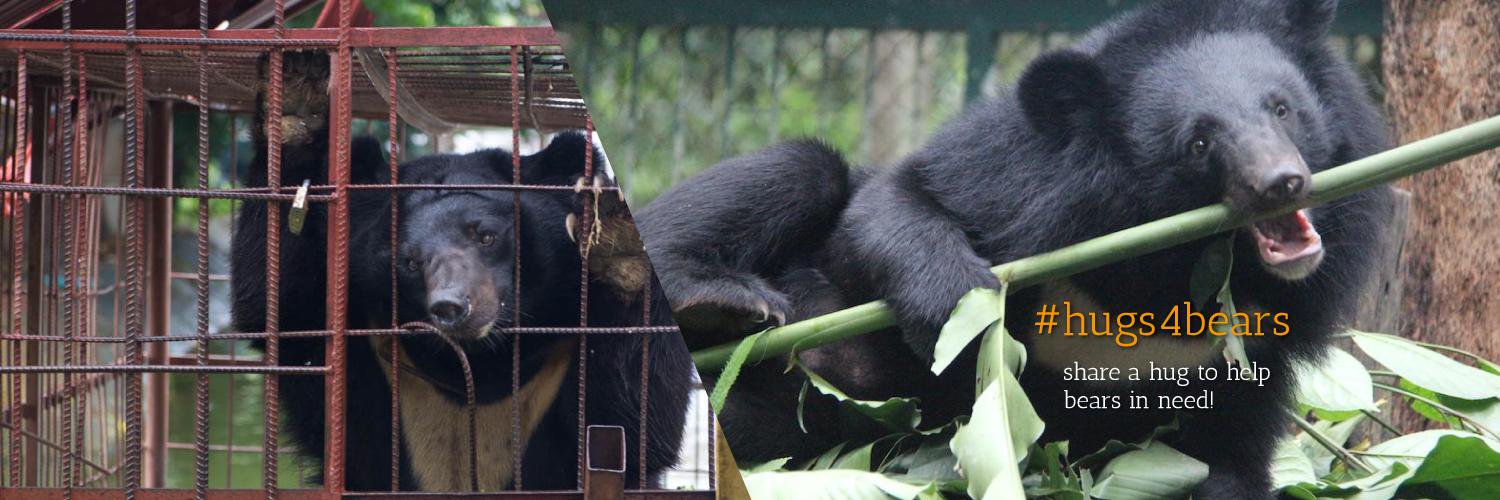 hugs4bears's profile banner image
