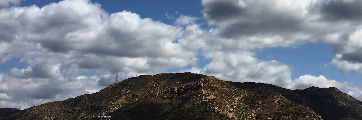 Chansamone O'Meara banner