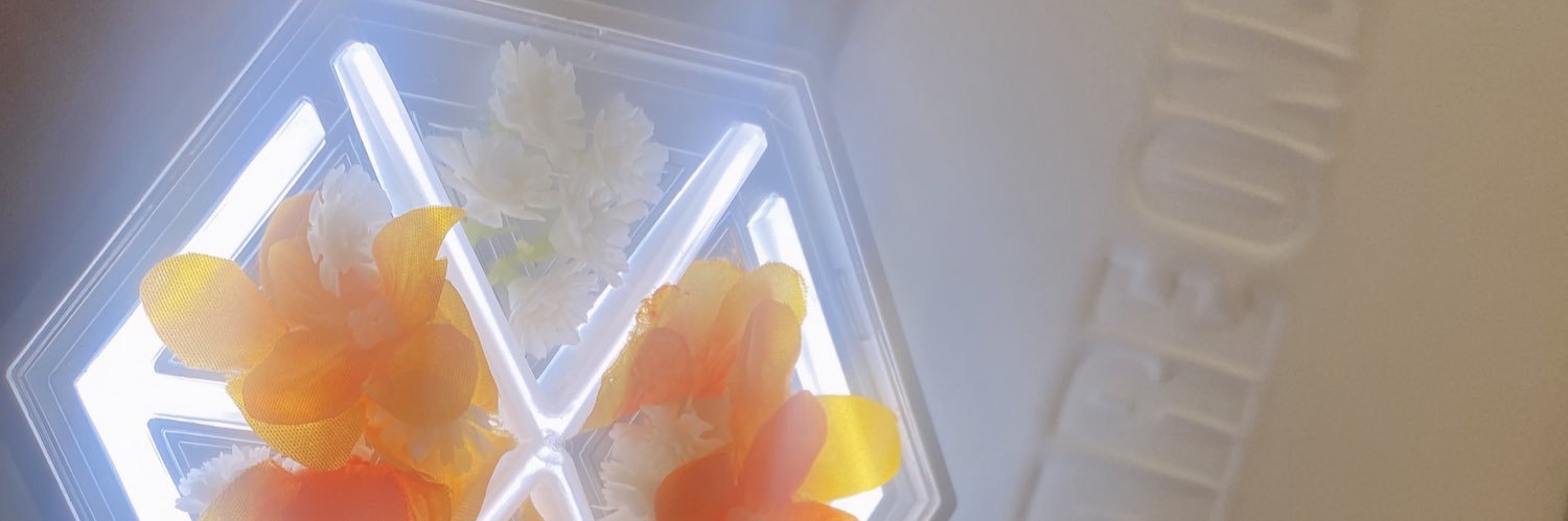 waffletopkai's profile banner image