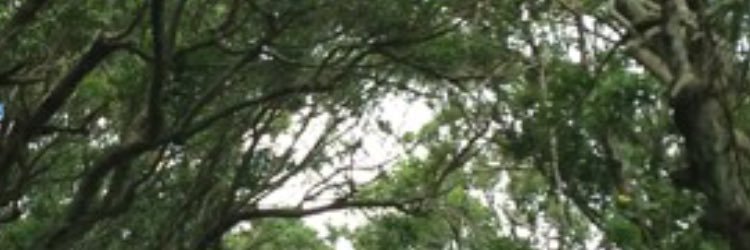 marlon_short4's profile banner image
