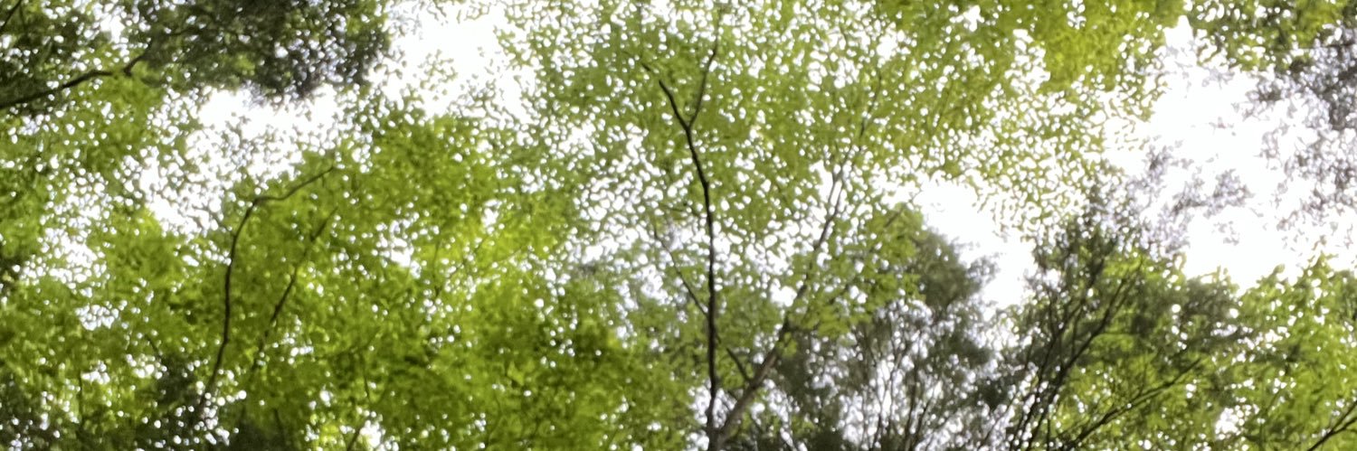 mrjnfffa's profile banner image