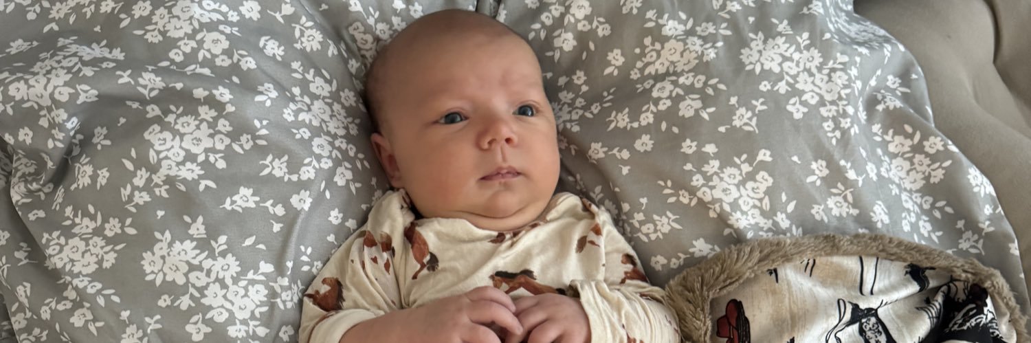 chayneelane's profile banner image