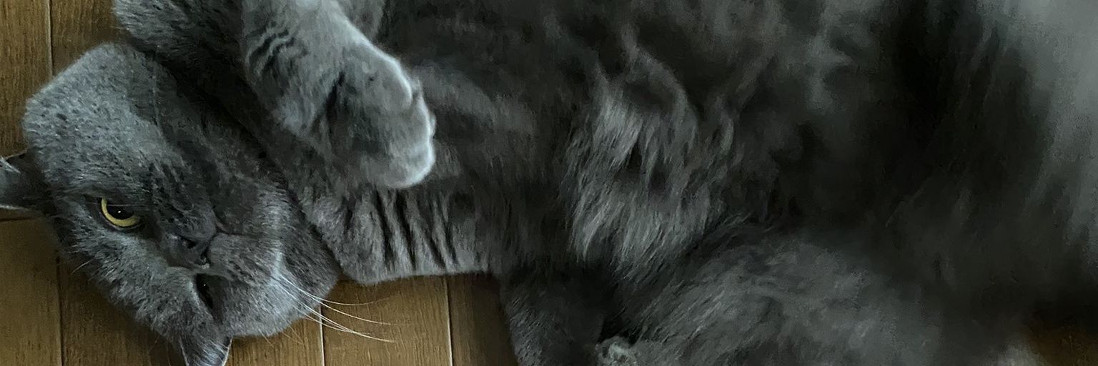 OQ_nody's profile banner image