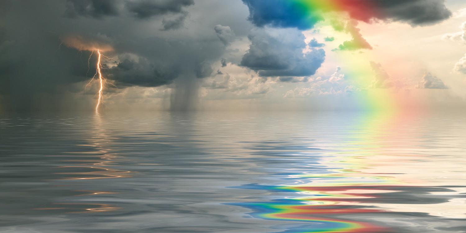 rainhutinc's profile banner image