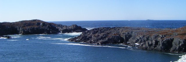 Srinivas Murthy, MD, MHSc banner