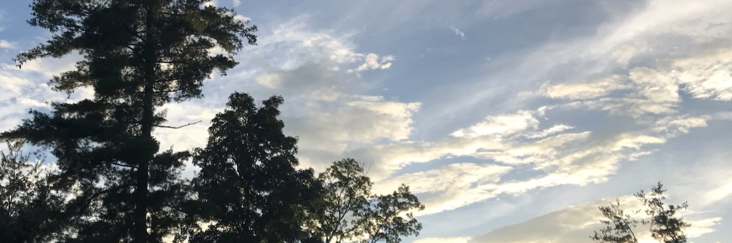 ChaseStancil1's profile banner image