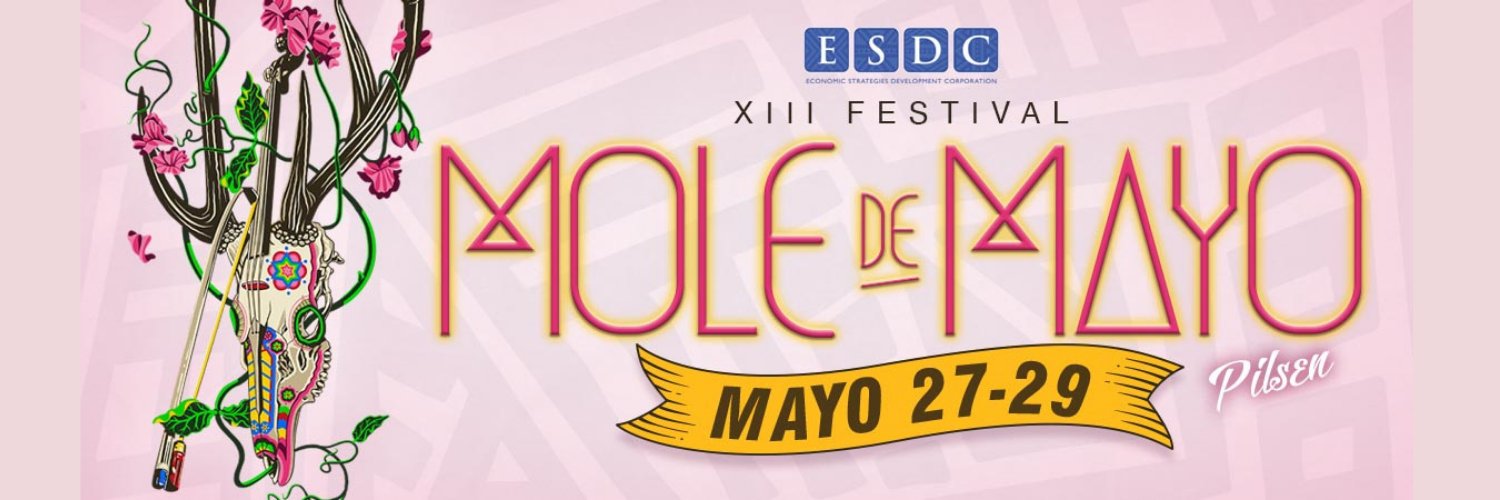 ESDCchicago's profile banner image