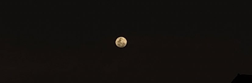 Amaralrafaaa's profile banner image