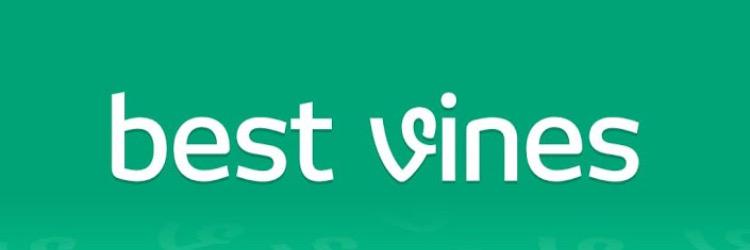 TopFunnyViness's profile banner image
