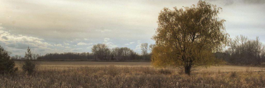 WillMooreNYCD's profile banner image
