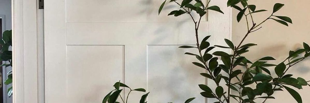 𝗝𝘂𝗮𝗻 banner