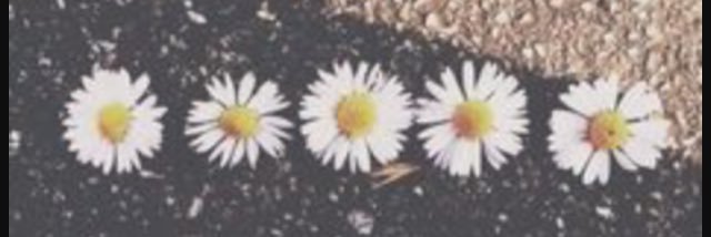 desi101_'s profile banner image