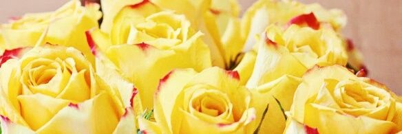 ndiwe246's profile banner image