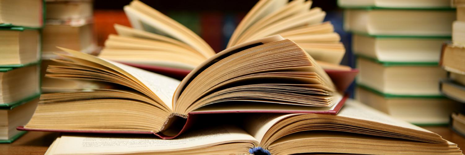 Ailish Fitzgerald banner