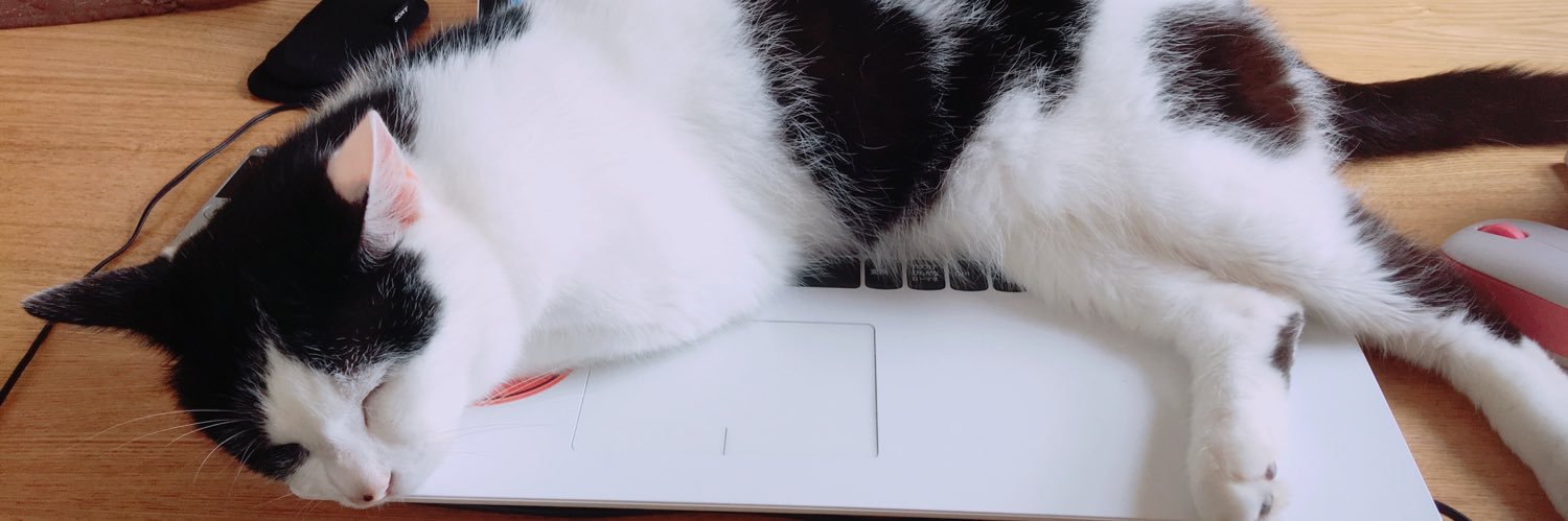 Maple_Nell's profile banner image
