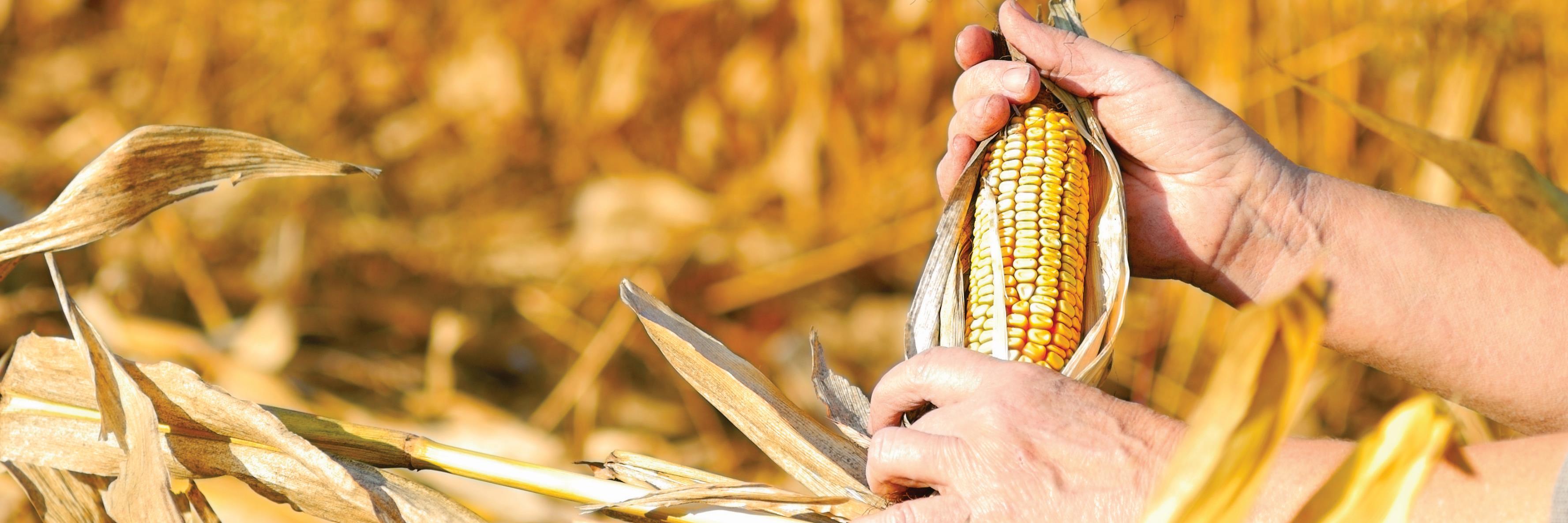 terminelinforma's profile banner image
