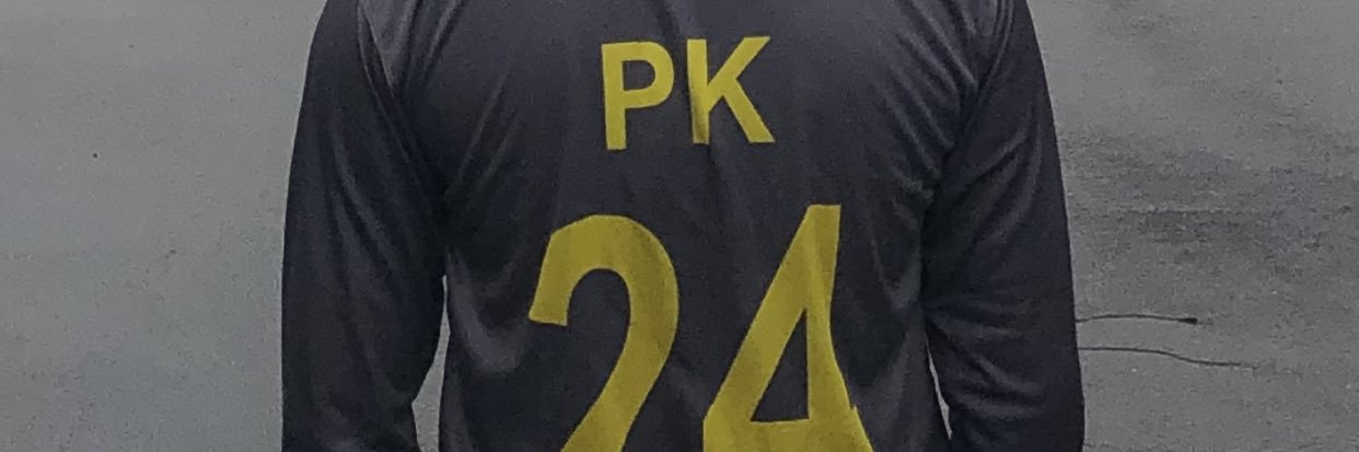 pkethi16's profile banner image
