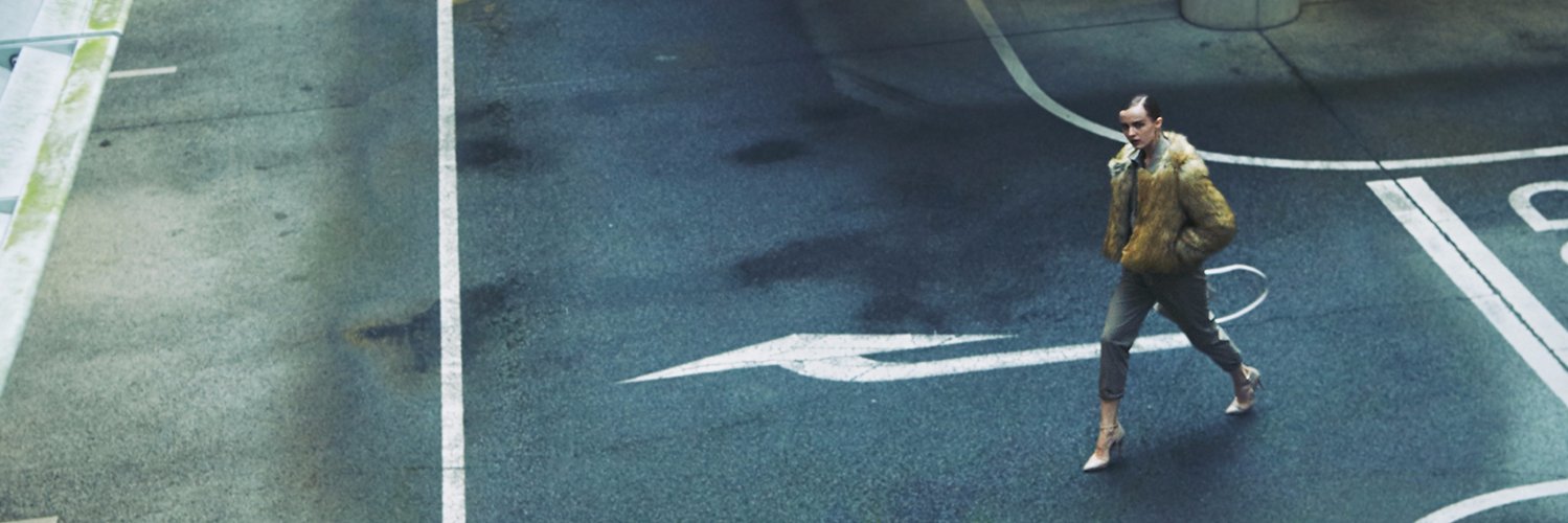 Ameri vintage banner