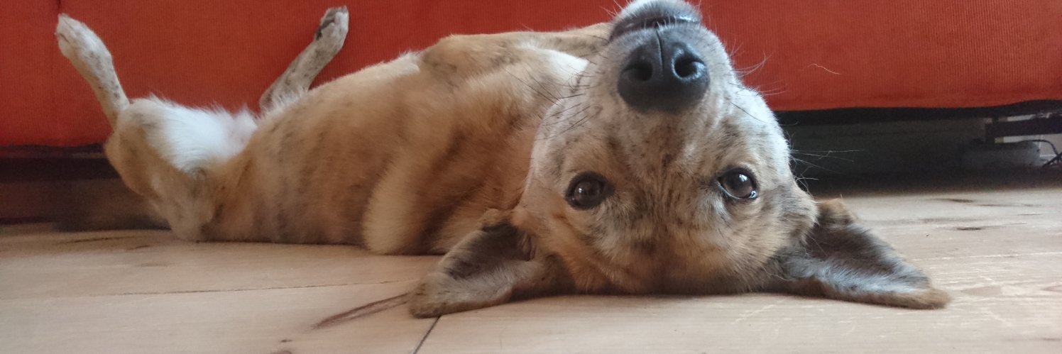 Jan Paul de Bondt banner