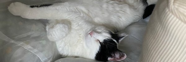 imESAM Profile Banner