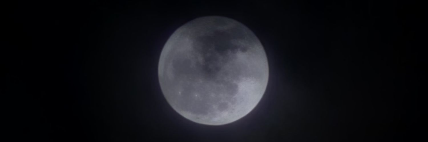 raddybeau's profile banner image