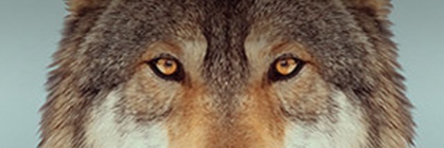 JakeMoritz7's profile banner image