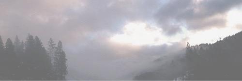 aesthetictea's profile banner image