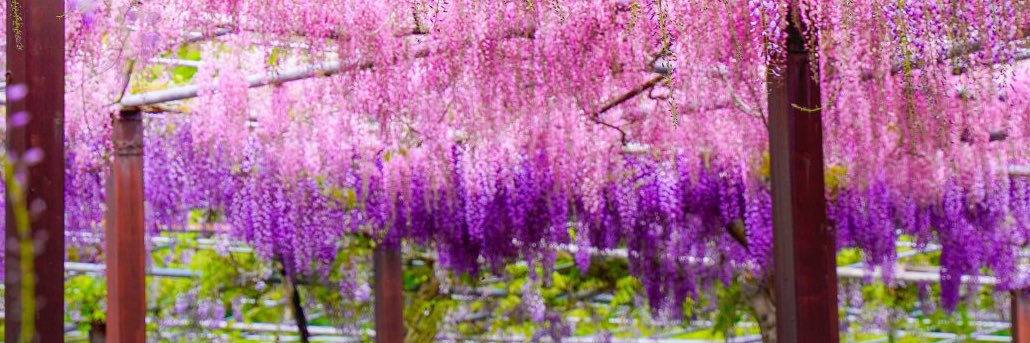 ミズ極（みずきわ） banner