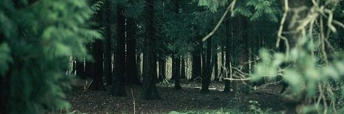 Li8lwt's profile banner image