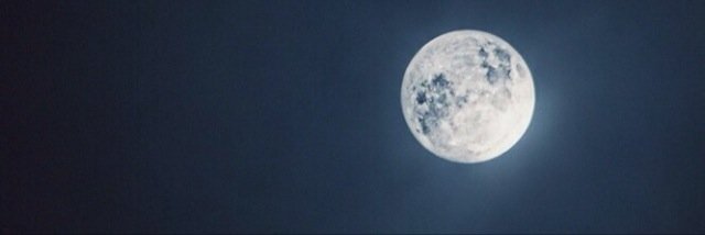 madelinafitz's profile banner image