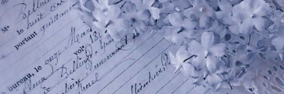 🌾 * 𝐒𝐀𝑳͟𝑰͟𝑵͟𝑫𝐄. banner