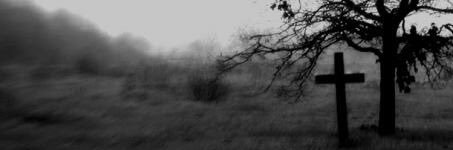 Ria Meadows 🔮 banner