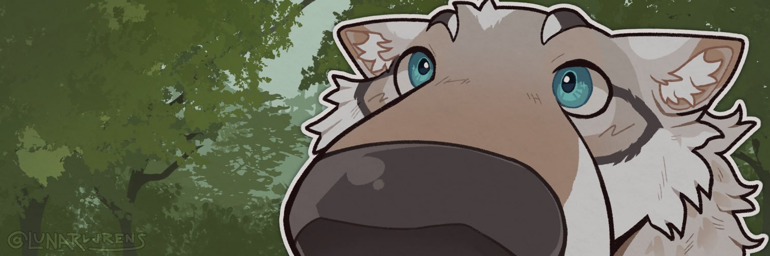 androddgyny's profile banner image