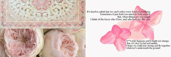 aeerican Profile Banner