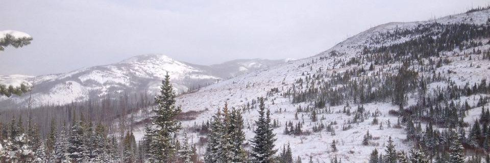 Warriorventures's profile banner image