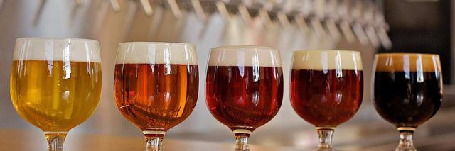 Great Divide Brewing banner