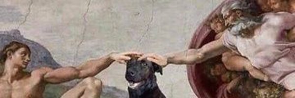 leonrogani Profile Banner