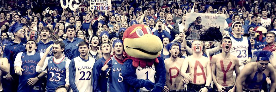 HallHays's profile banner image